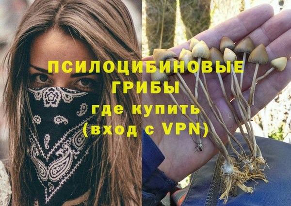 крисы Арсеньев