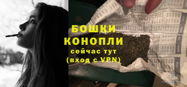 крисы Арсеньев